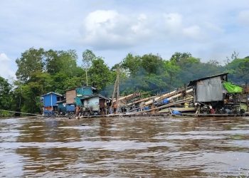 Kapolda Kalbar: Tambang emas ilegal libatkan WNA rugikan Rp1 Triliun