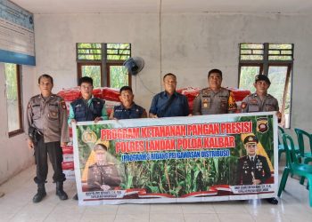 Bantuan Benih Jagung Hibrida Disalurkan untuk Dukung Ketahanan Pangan di Sengah Temila