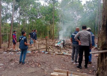 Warga Resah Aktifitas Judi Sabung Ayam di Daerah Tebelian, Polres Sintang Respon Aduan Masyarakat