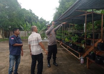 Kapolsek Pontianak Kota Manfaatkan Pekarangan Mako Polsek untuk Tanaman Produktif Dukung Ketahanan Pangan