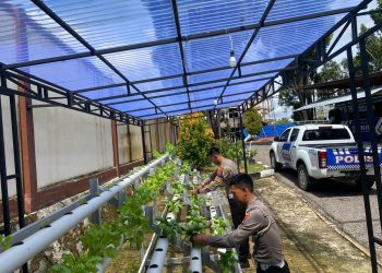 Polres Sekadau Manfaatkan Pekarangan untuk Ketahanan Pangan dan Program Makan Bergizi