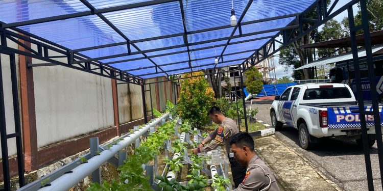 Polres Sekadau Manfaatkan Pekarangan untuk Ketahanan Pangan dan Program Makan Bergizi