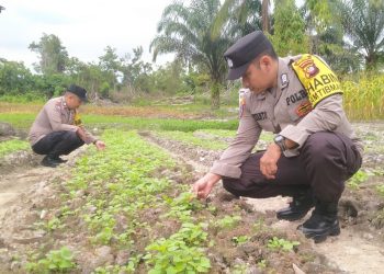 Giat Polsek Nanga Pinoh Dalam Perawatan dan Pemeliharaan Tanaman