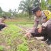 Giat Polsek Nanga Pinoh Dalam Perawatan dan Pemeliharaan Tanaman