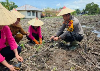 Polsek MHU Bersama Bhayangkari Laksanakan Penguatan Program P2L dalam Rangka Mendukung Ketahanan Pangan