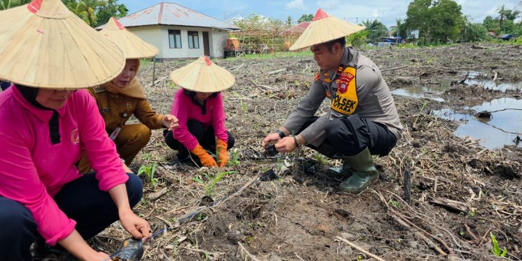Polsek MHU Bersama Bhayangkari Laksanakan Penguatan Program P2L dalam Rangka Mendukung Ketahanan Pangan
