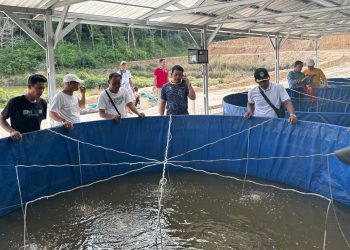 Dorong Ketahanan Pangan, Polres Sekadau Bantu Warga Kembangkan Budidaya Ikan