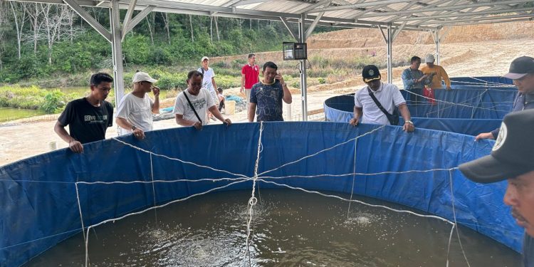 Dorong Ketahanan Pangan, Polres Sekadau Bantu Warga Kembangkan Budidaya Ikan