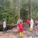 Pastikan Tidak Ada Titik Api, Bhabinkamtibmas Desa Kuala Tolak Laksanakan Patroli Gabungan Di Hutan Kecamatan Matan Hilir Utara