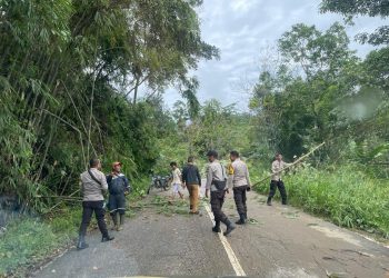 Kerja Keras Tim Gabungan, Akses Jalan di Sengah Temila Kembali Normal
