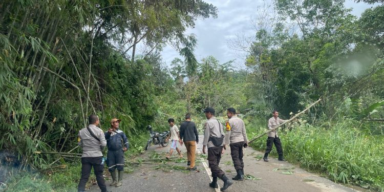 Kerja Keras Tim Gabungan, Akses Jalan di Sengah Temila Kembali Normal