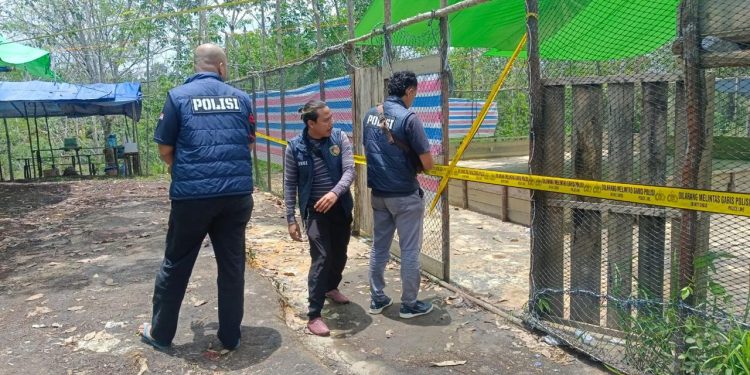 Tim Resmob Polres Sintang Bongkar Judi Kelang Sabung Ayam di Desa Bonet Engkabang