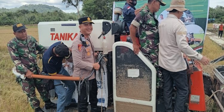 Presiden RI Gelar Zoom Meeting Panen Serentak, Kapolsek dan Forkopimcam Sengah Temila Turut Serta