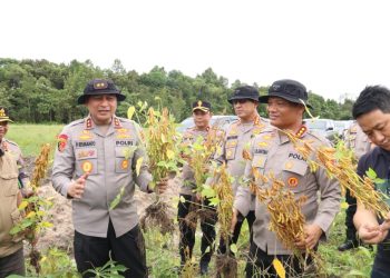 Intip Keseruan Irjen Pol Pipit Rismanto dalam Asistensi Ketahanan Pangan – Jejak Langkah Kapolda Kalbar yang Inspiratif di Sanggau!