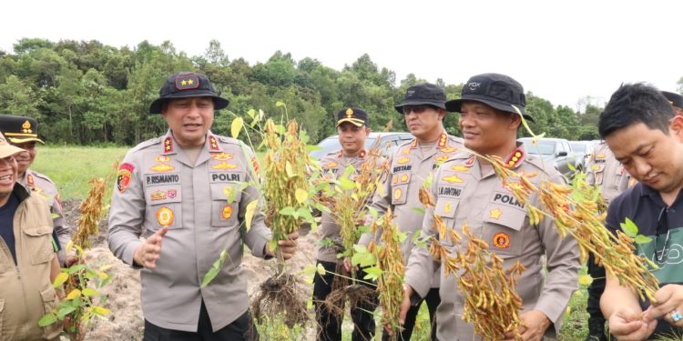 Intip Keseruan Irjen Pol Pipit Rismanto dalam Asistensi Ketahanan Pangan – Jejak Langkah Kapolda Kalbar yang Inspiratif di Sanggau!