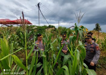Kabid Humas Bersama Dir Tahti Polda Kalbar Asistensi Progres Penanaman Jagung di Melawi