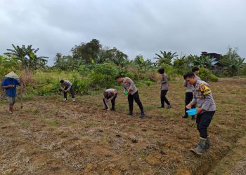 Polsek Putussibau Selatan Laksanakan Penanaman Jagung Dukung Program Ketahanan Pangan Nasional 2025