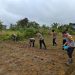 Polsek Putussibau Selatan Laksanakan Penanaman Jagung Dukung Program Ketahanan Pangan Nasional 2025