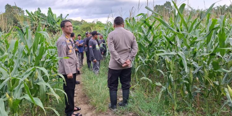 Kabid TIK Polda Kalbar Asistensi Program Ketahanan Pangan di Mempawah Hulu