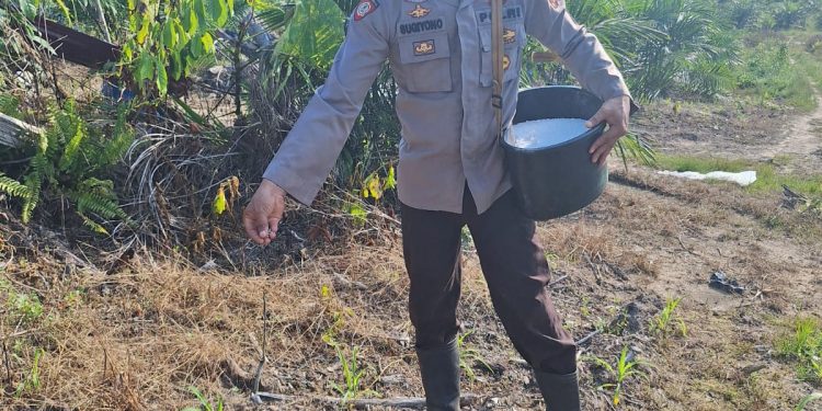 Polsek Nanga Tayap Laksanakan Kegiatan Pemupukan Jagung Hibrida di Lahan Kelompok Tani Sumber Pak Yan