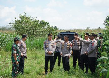 Wakapolda Kalbar Tinjau Kesiapan Panen Raya Jagung di Bengkayang, Sinergi Polri–TNI AU Perkuat Ketahanan Pangan Nasional