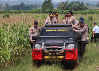 Kapolda Kalbar Tinjau Lokasi Panen Raya Jagung Serentak Tahap II dan Pabrik Pengolahan Jagung di Bengkayang