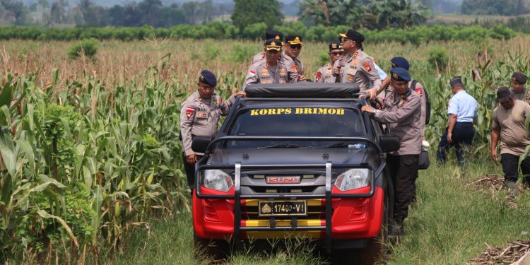 Kapolda Kalbar Tinjau Lokasi Panen Raya Jagung Serentak Tahap II dan Pabrik Pengolahan Jagung di Bengkayang