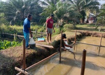 Polri Tanam Ketahanan, Rakyat Petik Gizi: Program Perkarangan Bergizi di Desa Tunggal Bhakti Kian Nyata