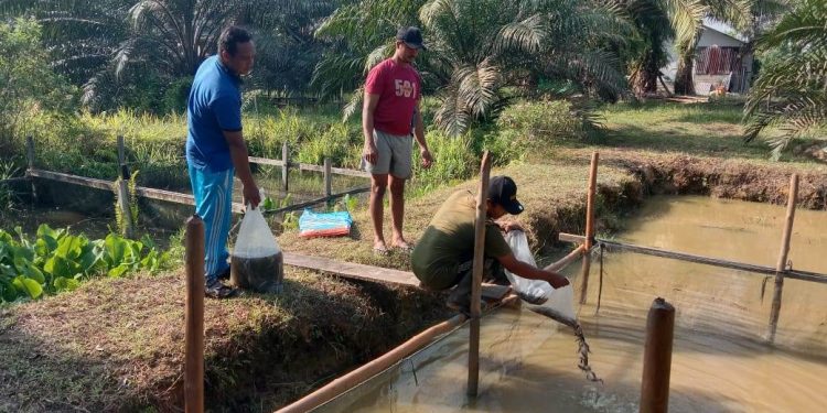 Polri Tanam Ketahanan, Rakyat Petik Gizi: Program Perkarangan Bergizi di Desa Tunggal Bhakti Kian Nyata