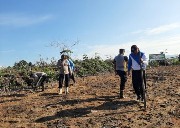 Penanaman Perdana Jagung di Lahan Percontohan Polsek Mandor: Kolaborasi POLRI dan BPP Kecamatan Mandor