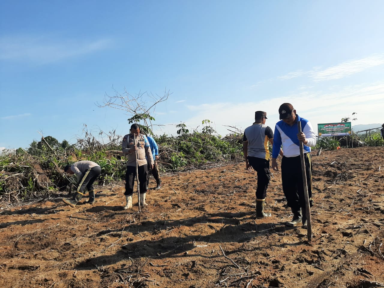 Penanaman Perdana Jagung di Lahan Percontohan Polsek Mandor: Kolaborasi POLRI dan BPP Kecamatan Mandor
