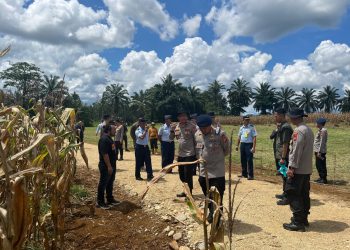 Dansatbrimob Polda Kalbar bersama dengan pejabat utama Polda Kalbar damping Wakapolda Kalbar melakukan pengecekan dilokasi panen raya jagung kuartal II