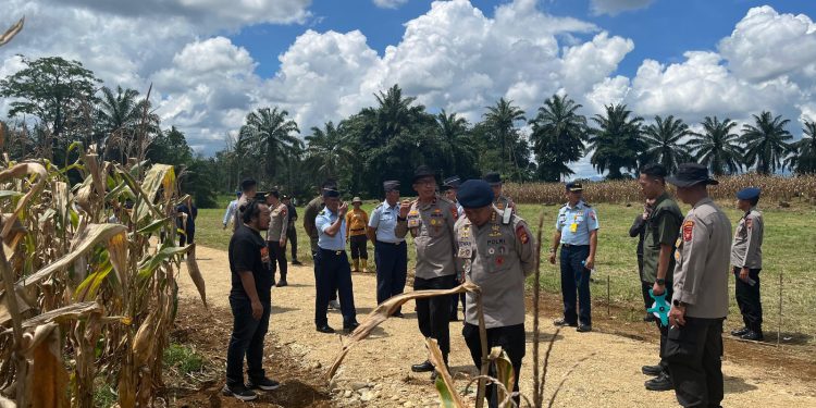 Dansatbrimob Polda Kalbar bersama dengan pejabat utama Polda Kalbar damping Wakapolda Kalbar melakukan pengecekan dilokasi panen raya jagung kuartal II