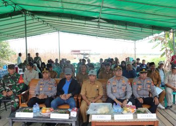 Polres Kayong Utara Gelar Panen Raya Jagung Kuartal II Dukung Ketahanan Pangan
