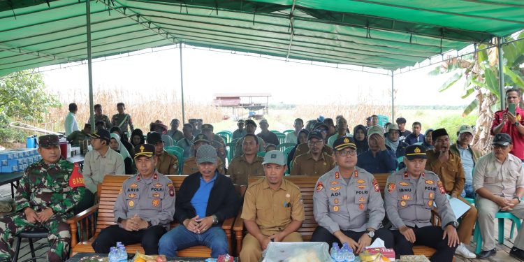 Polres Kayong Utara Gelar Panen Raya Jagung Kuartal II Dukung Ketahanan Pangan