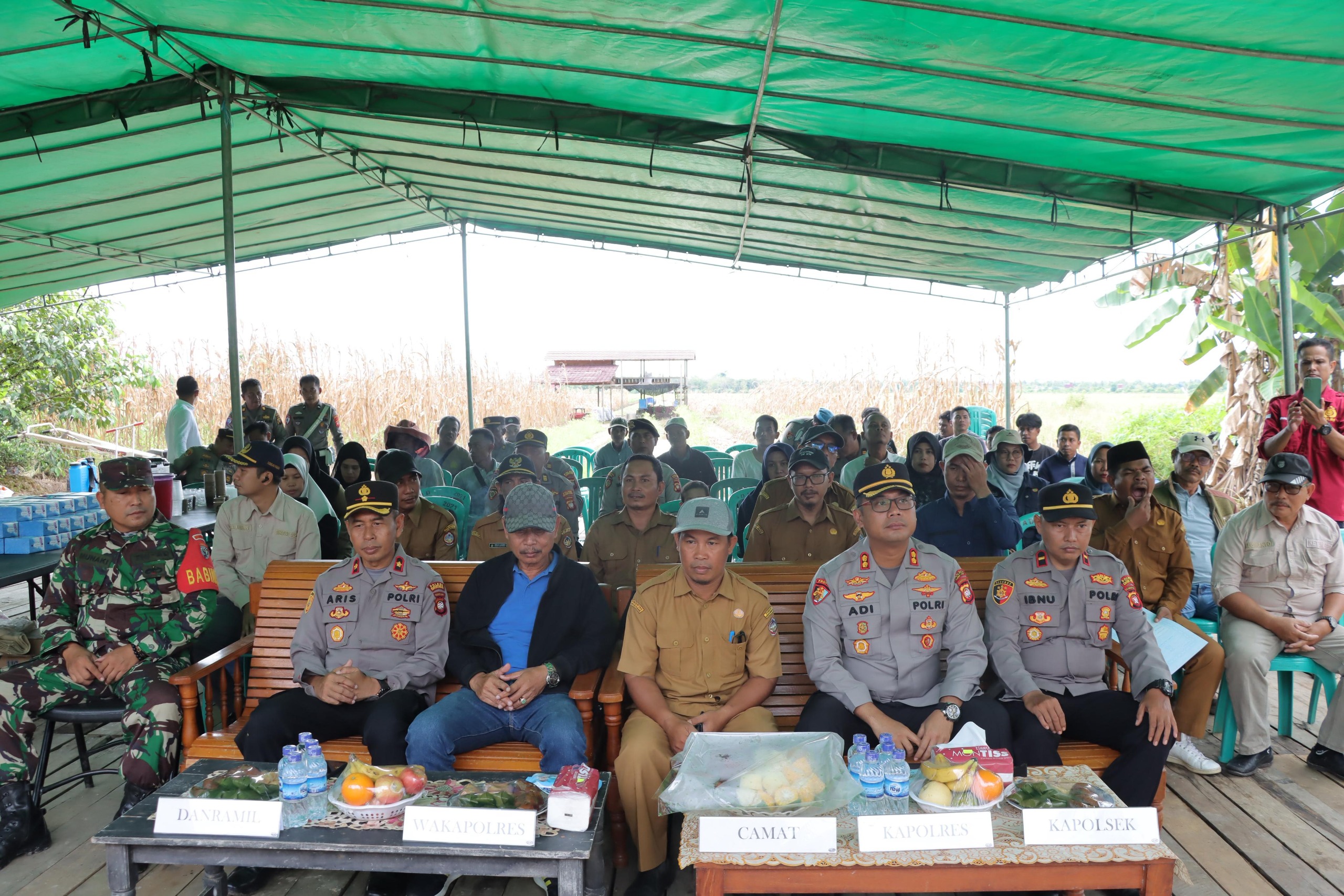 Polres Kayong Utara Gelar Panen Raya Jagung Kuartal II Dukung Ketahanan Pangan