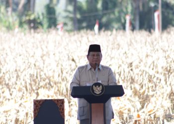 Presiden Prabowo Panen Jagung di Kalbar: Target Swasembada Pangan Dimulai dari Sini!