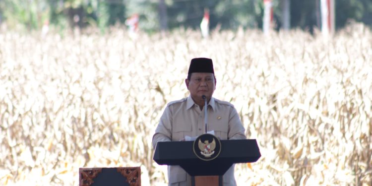 Presiden Prabowo Panen Jagung di Kalbar: Target Swasembada Pangan Dimulai dari Sini!