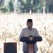 Presiden Prabowo Panen Jagung di Kalbar: Target Swasembada Pangan Dimulai dari Sini!