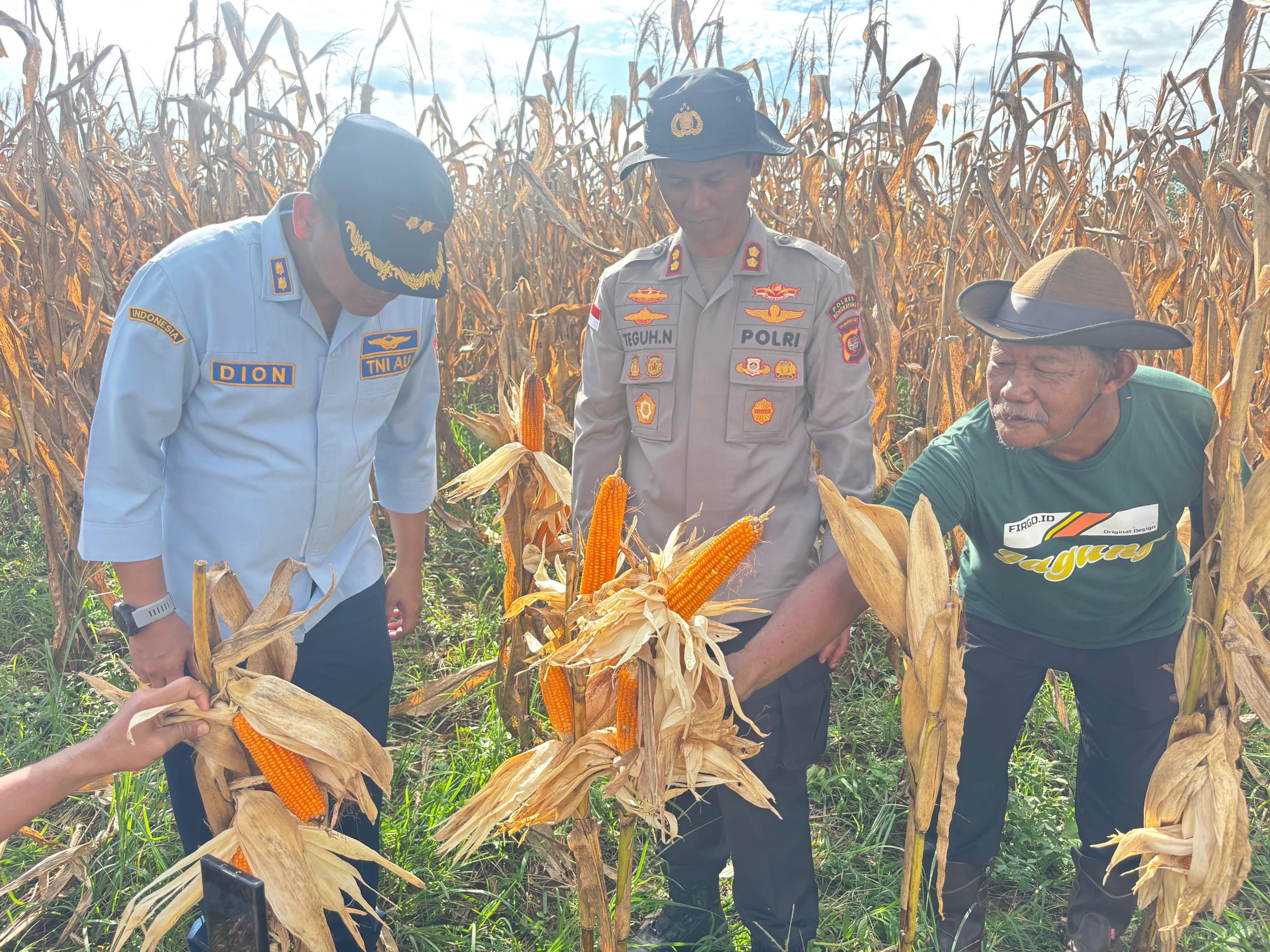 Sinergi Polres Bengkayang dan Lanud Harry Hadisoemantri Sukseskan Panen Raya Jagung Serentak Kuartal II bersama Presiden RI