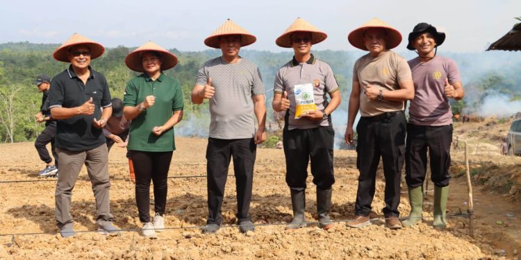 Polres Sanggau Tanam Jagung Hibrida, Wujud Nyata Dukung Ketahanan Pangan Daerah