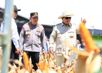 Presiden Prabowo Apresiasi Polri dan Kementan: 2026 Indonesia Stop Impor Jagung