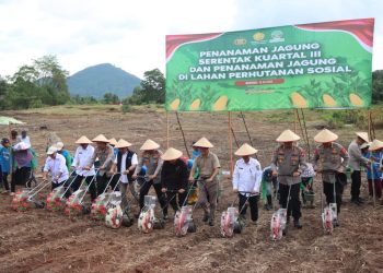 Dukung Ketahanan Pangan Nasional, Polda Kalbar Gelar Penanaman Jagung Serentak Kuartal III di Lahan Hutan Sosial