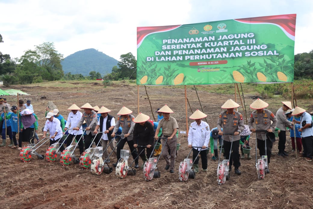 Dukung Ketahanan Pangan Nasional, Polda Kalbar Gelar Penanaman Jagung Serentak Kuartal III di Lahan Hutan Sosial