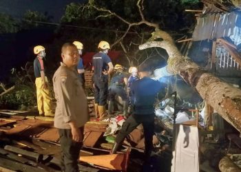 Polisi dan Damkar Evakuasi Pohon Tumbang yang Timpa Warung Kopi Warga di Kubu Raya