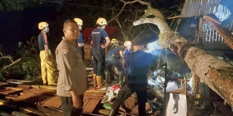 Polisi dan Damkar Evakuasi Pohon Tumbang yang Timpa Warung Kopi Warga di Kubu Raya