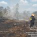 Satbrimob Polda Kalbar kembali bergerak cepat melakukan pemadaman api dilahan kosong yang ada di Kabupaten Kubu Raya. Senin (21/07/25).