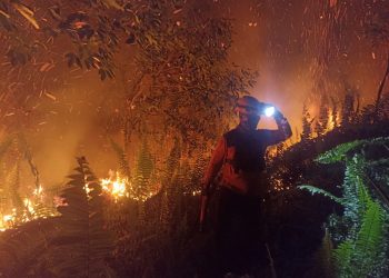 Cegah Api Meluas, Polres Kubu Raya dan Tim Gabungan Padamkan Karhutla di Sungai Raya