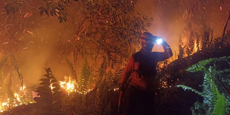 Cegah Api Meluas, Polres Kubu Raya dan Tim Gabungan Padamkan Karhutla di Sungai Raya