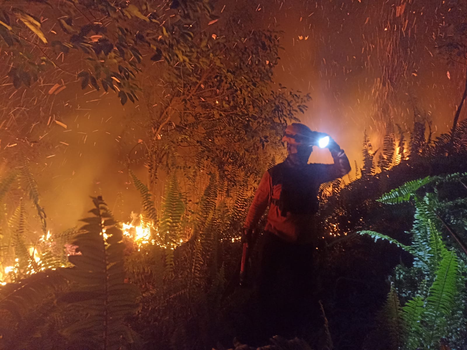 Cegah Api Meluas, Polres Kubu Raya dan Tim Gabungan Padamkan Karhutla di Sungai Raya